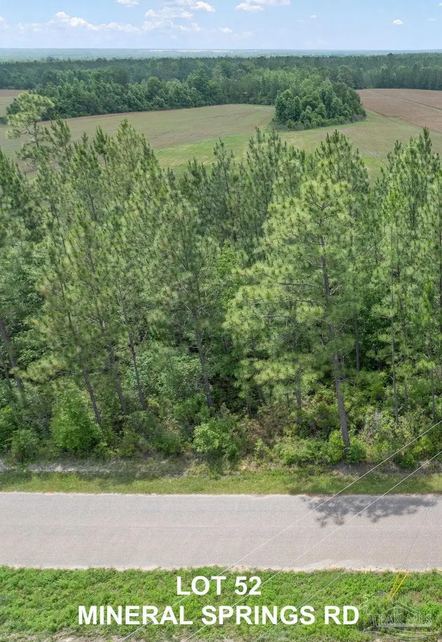 Lot 52 Mineral Springs Rd, Jay, FL 32565 - Image #3