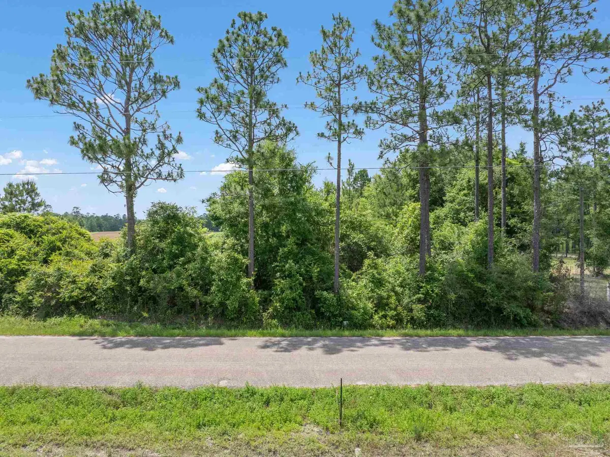 Lot 54 Mineral Springs Rd, Jay, FL 32565 - Image #1