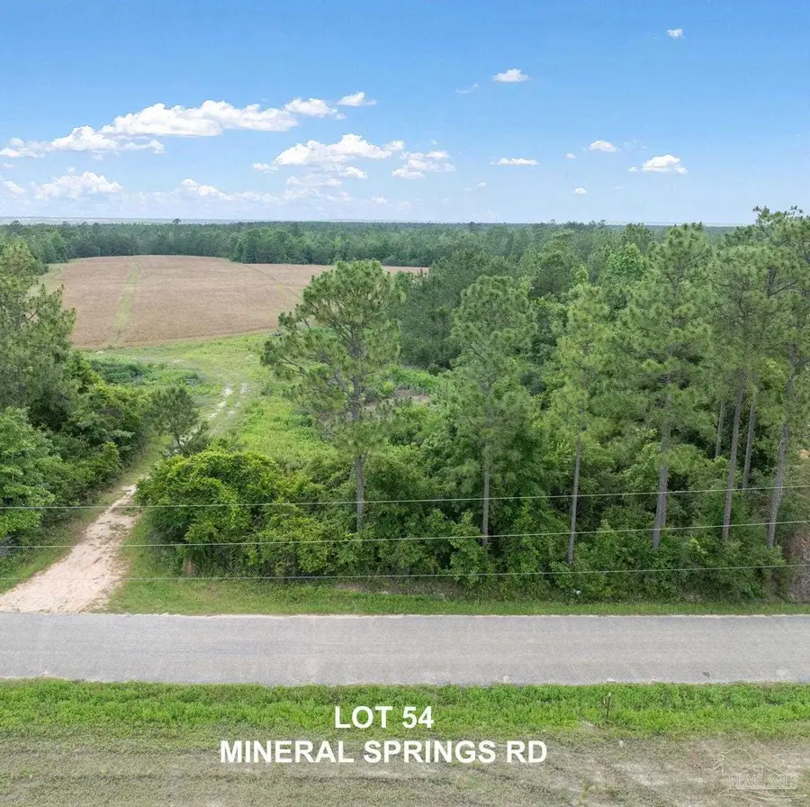 Lot 54 Mineral Springs Rd, Jay, FL 32565 - Image #3