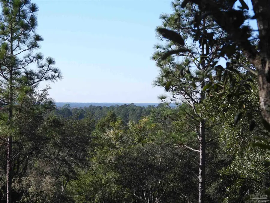 00 Log Lake Rd, Holt, FL 32564 - Image #2