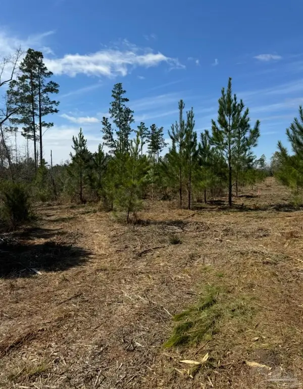 Bright Prospect Rd #Lot 7, Marianna, FL 32448