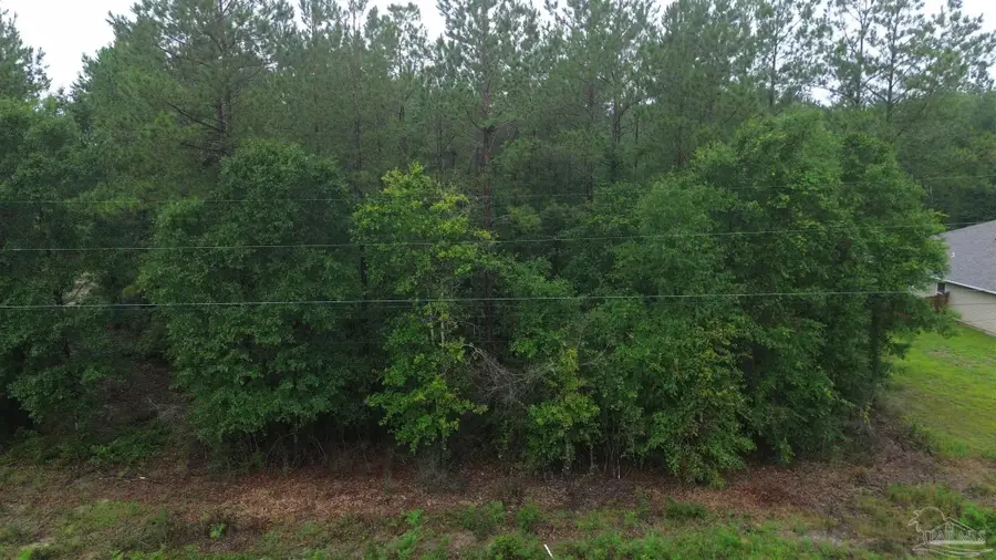 Lot 86 Pineview Church Rd, Jay, FL 32565 - #3