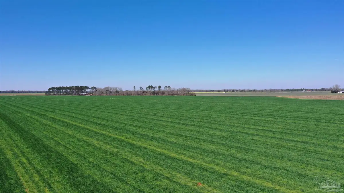 Lot 14 Davis Pond Rd, Atmore, AL 36502 - Image #1