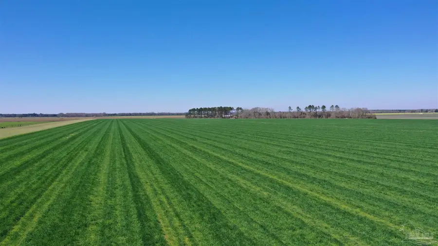 Lot 14 Davis Pond Rd, Atmore, AL 36502 - Image #2