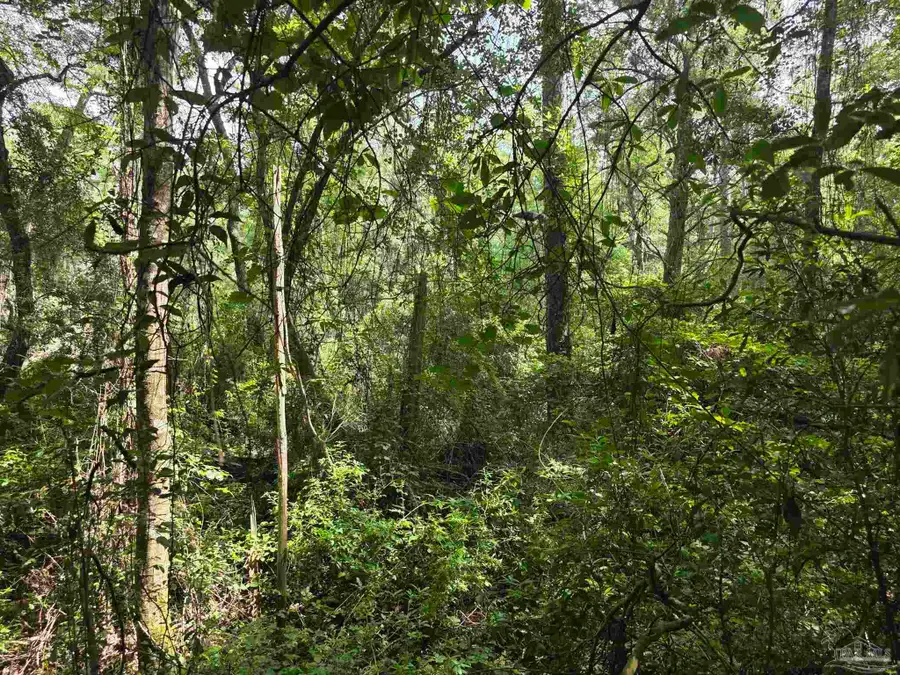 0 Crystal Creek Dr, Pace, FL 32571 - Image #2