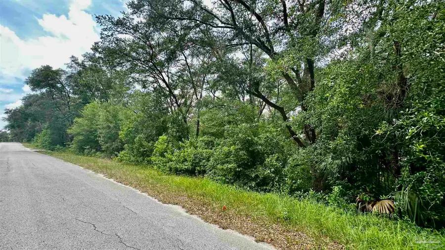 0 Shorewood Dr, Dunnellon, FL 34431 - Image #2