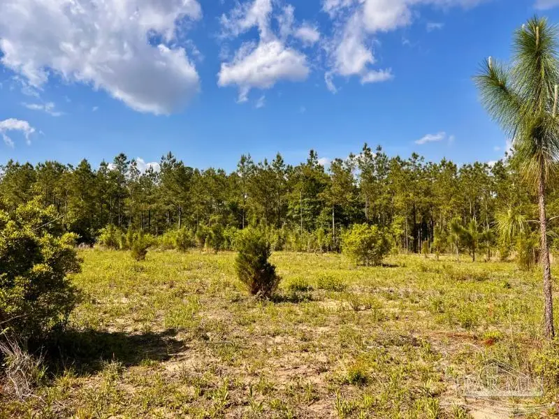 Lot 53 South Timber Ln, Jay, FL 32565 - #3