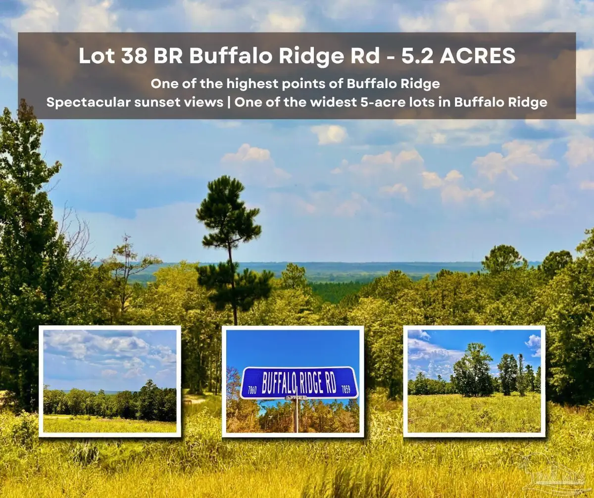Lot 38 BR Buffalo Ridge Rd, Pace, FL 32571 - Image #1