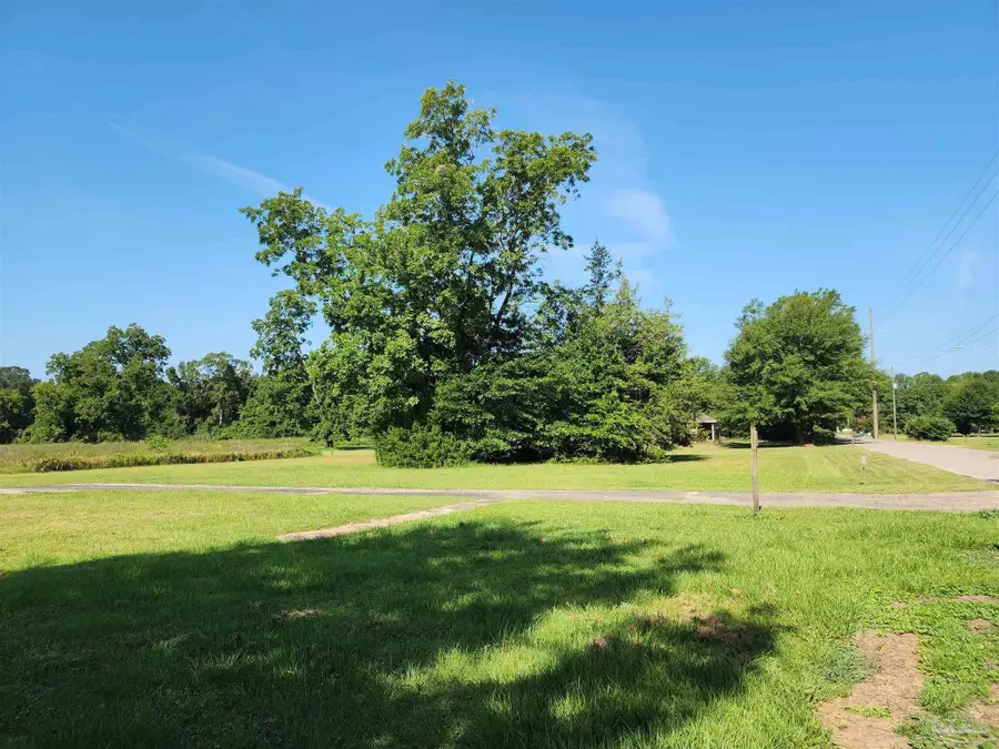 510 Mcrae St, Atmore, AL 36502 - Image #3