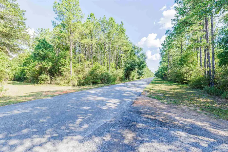 7047 Hidden Forest Trail, Pace, FL 32571 - Image #3