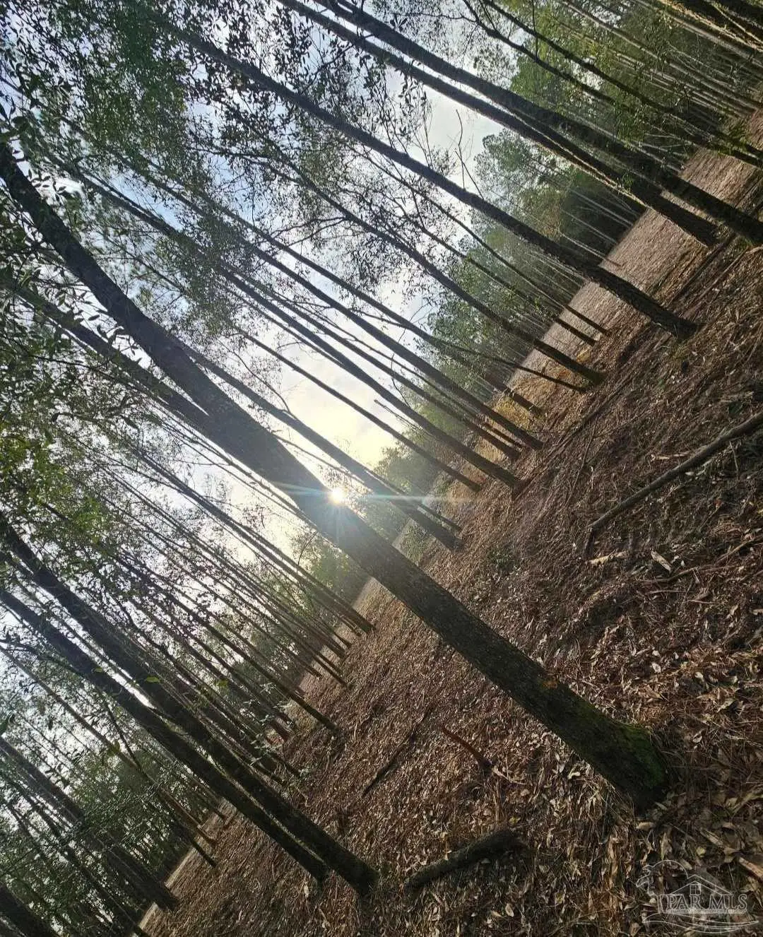 5810 Colts Crossing Ln, Milton, FL 32570 - #1