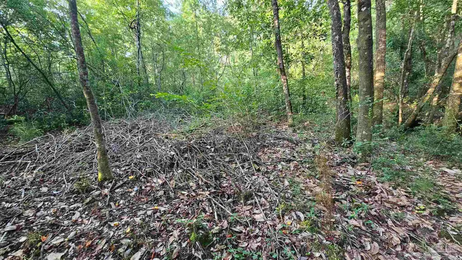 2561 Creek Chase Trl, Pace, FL 32571 - Image #3