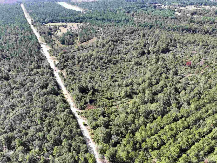 TBD Walther Rd #TBD JACKPOT TRL, Milton, FL 32570 - Image #3