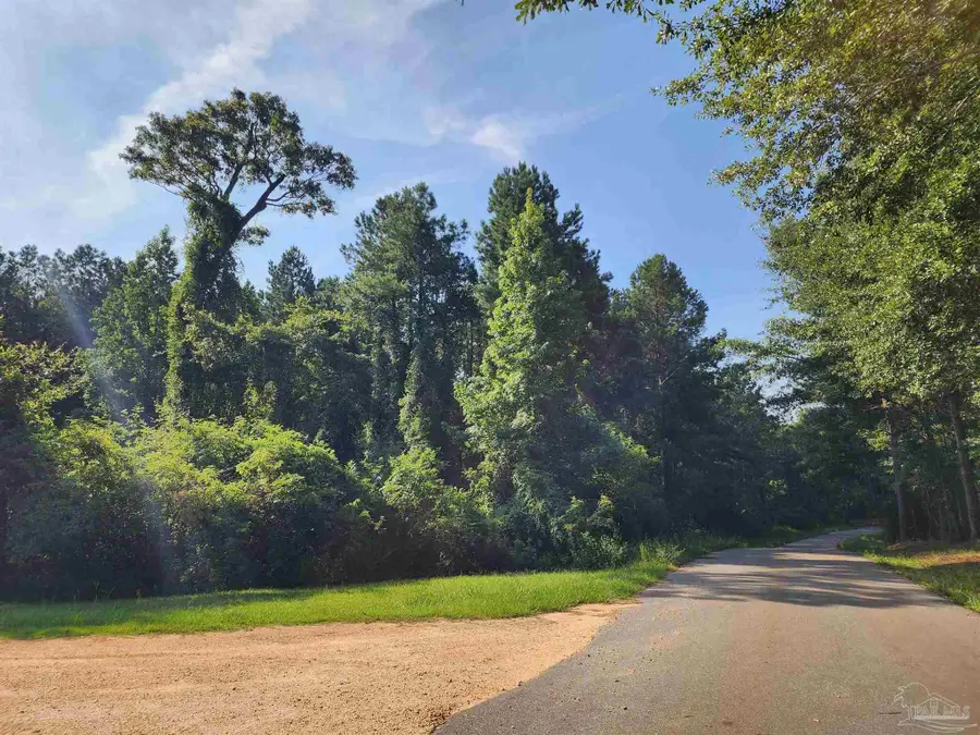 0 Lowery Rd #Lot 11, Atmore, AL 36502 - Image #2