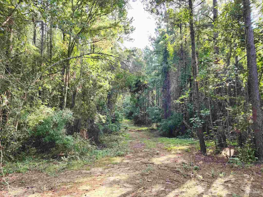 0 Lowery Rd #Lot 11, Atmore, AL 36502 - Image #3