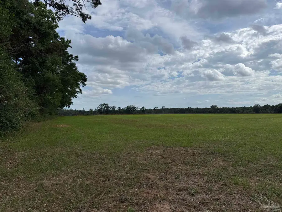 Lot 8 Hall Rd, Jay, FL 32565 - Image #3