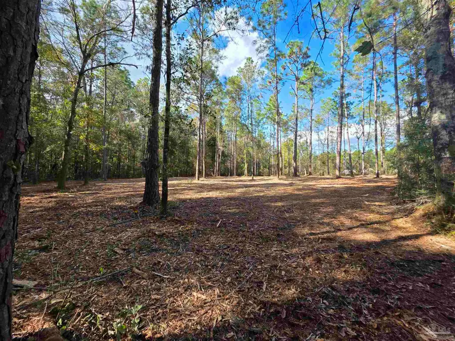 0 Magnolia Springs Rd, Pensacola, FL 32526 - Image #2