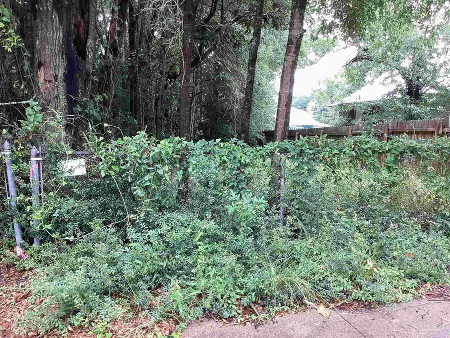514 E Mallory St, Pensacola, FL 32503 - Image #3