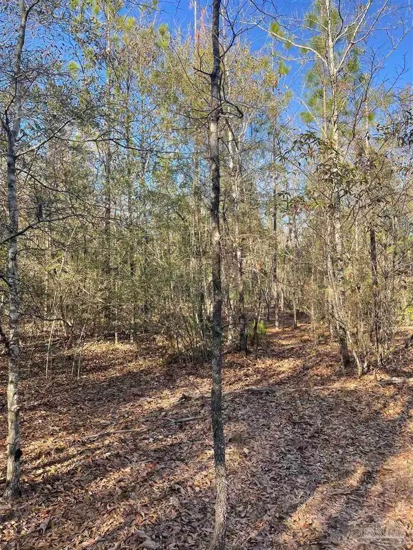 0000 Walling Rd, Milton, FL 32570