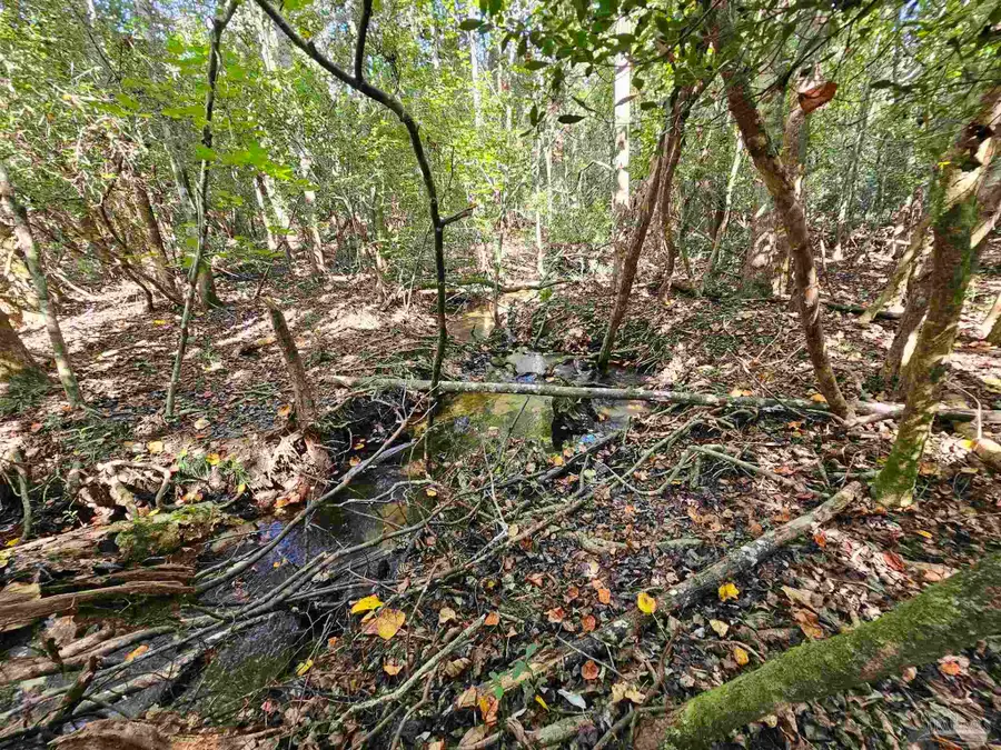 1130 Oak Ridge Trl, Cantonment, FL 32533 - Image #3