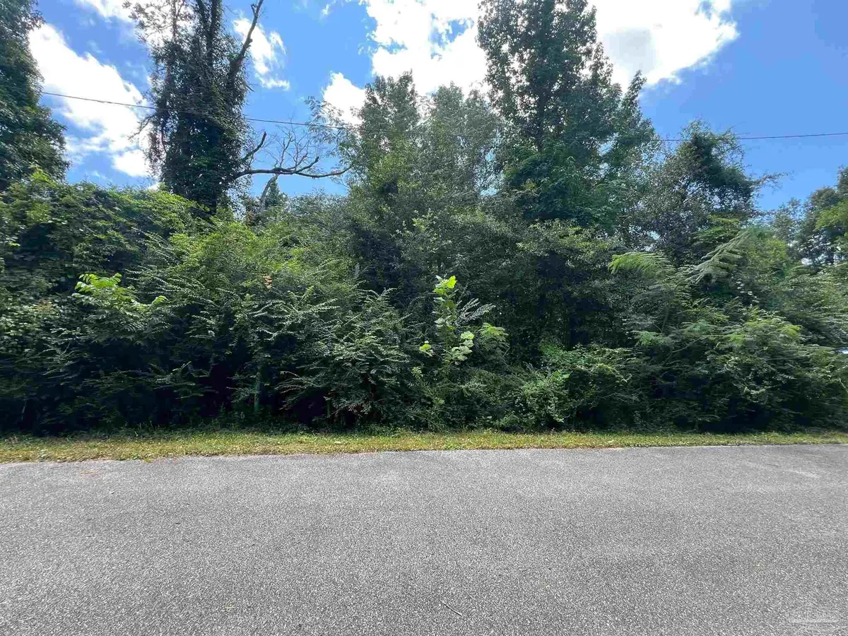 1100 BLK Mckinnonville St, Molino, FL 32577 - #1