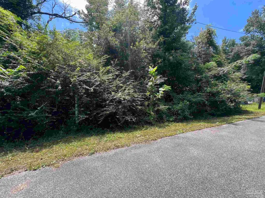 1100 BLK Mckinnonville St, Molino, FL 32577 - Image #3