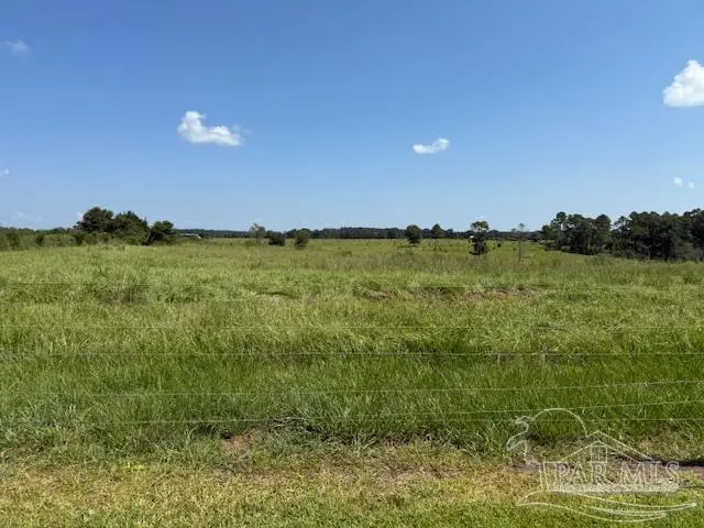 5880 S Hwy 99, McDavid, FL 32568 - Image #3