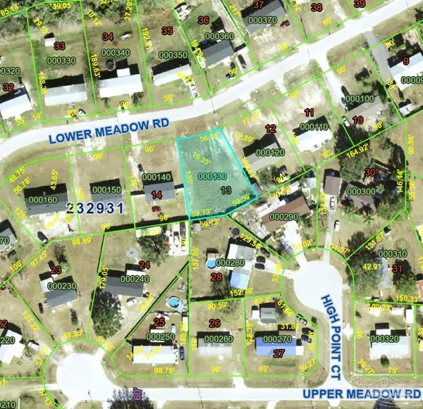 000 Lower Meadow Rd, Mulberry, FL 33860