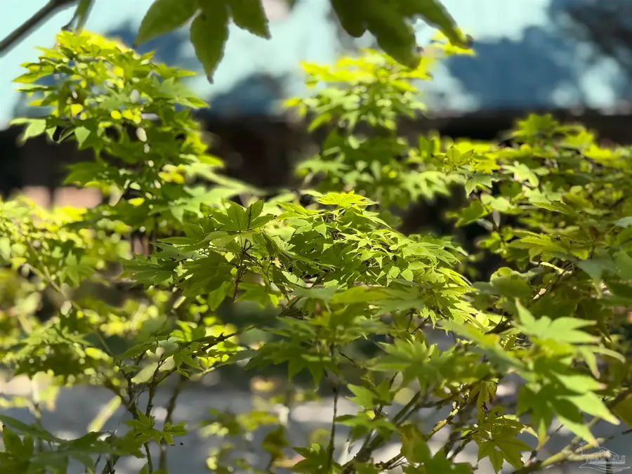 10030 Autumn Ln, Pensacola, FL 32514 - Image #3