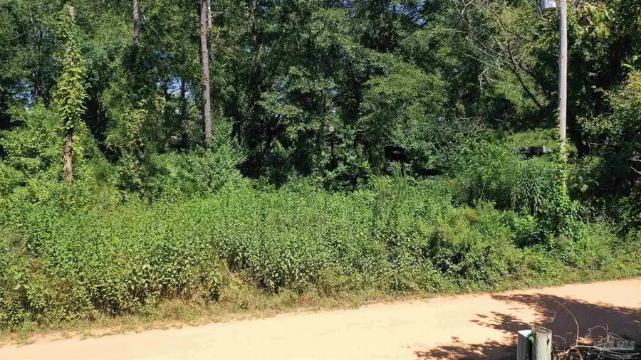 0 Eureka Landing Rd, Uriah, AL 36480 - Image #3