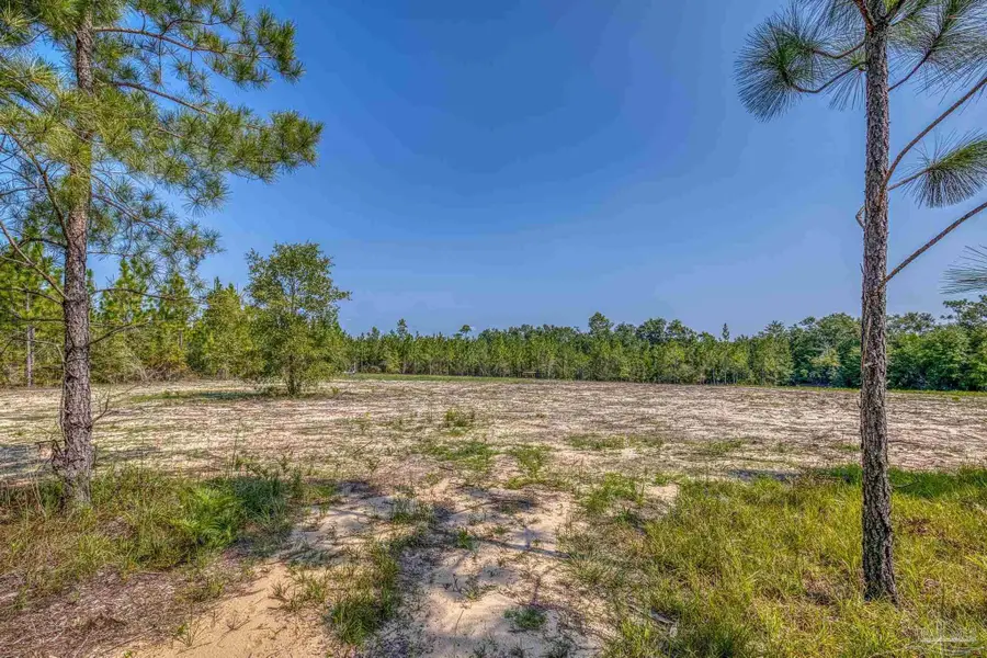 Lot 8 SW Waterfall St, Pace, FL 32571 - Image #3