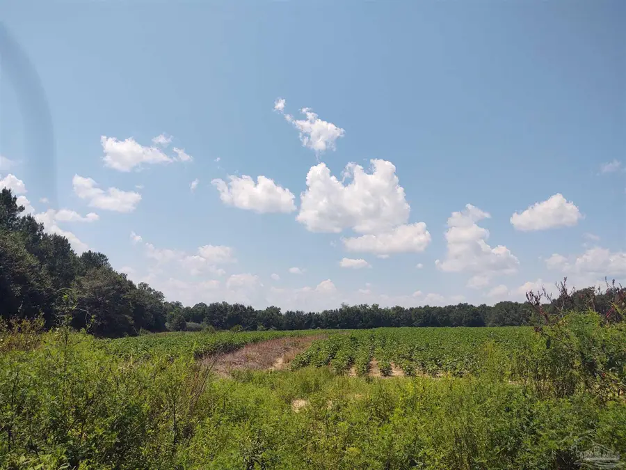 7264 Springhill Rd, Milton, FL 32570 - Image #2