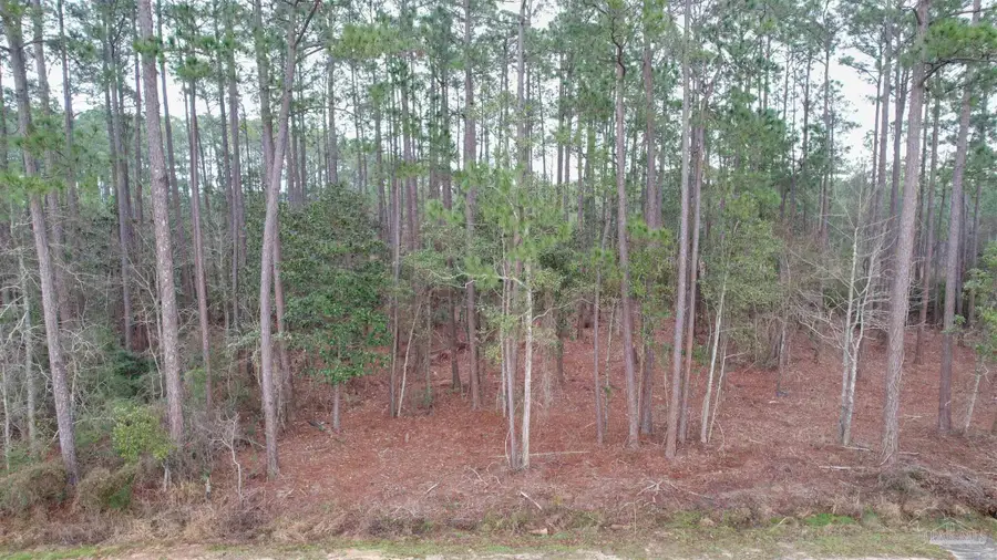 4529 & 4533 Bayside Dr, Milton, FL 32583 - #3