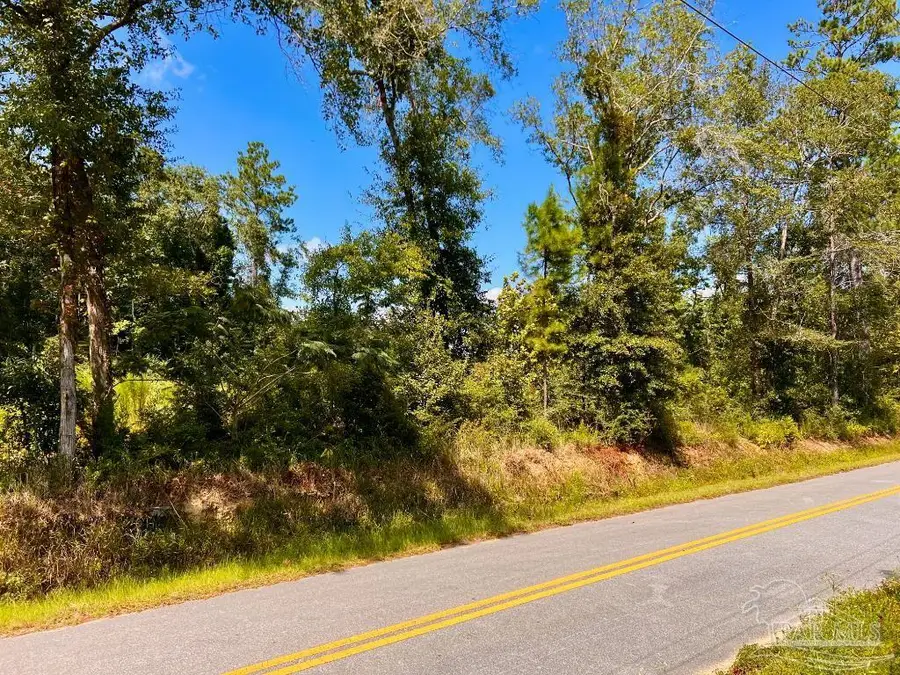 Lot 6C Cotton Lake Rd, Molino, FL 32577 - Image #2