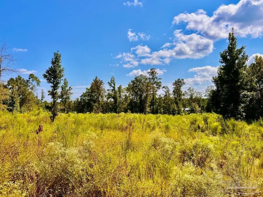 Lot 6C Cotton Lake Rd, Molino, FL 32577 - Image #3