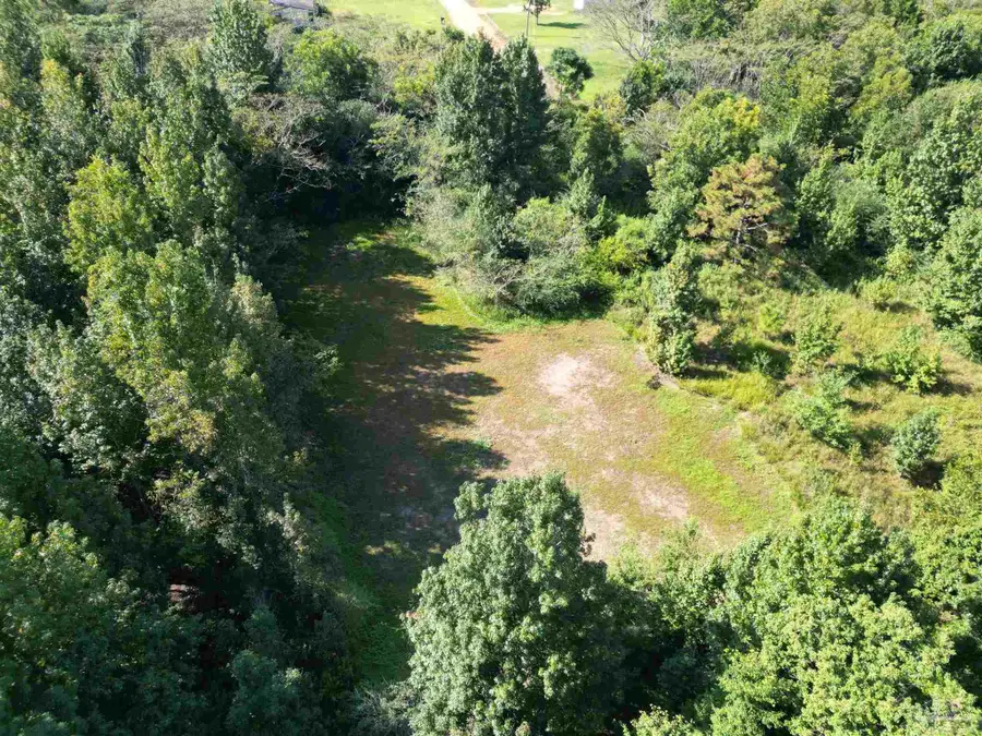 00 Wiggins Rd, Frisco City, AL 36445 - Image #2