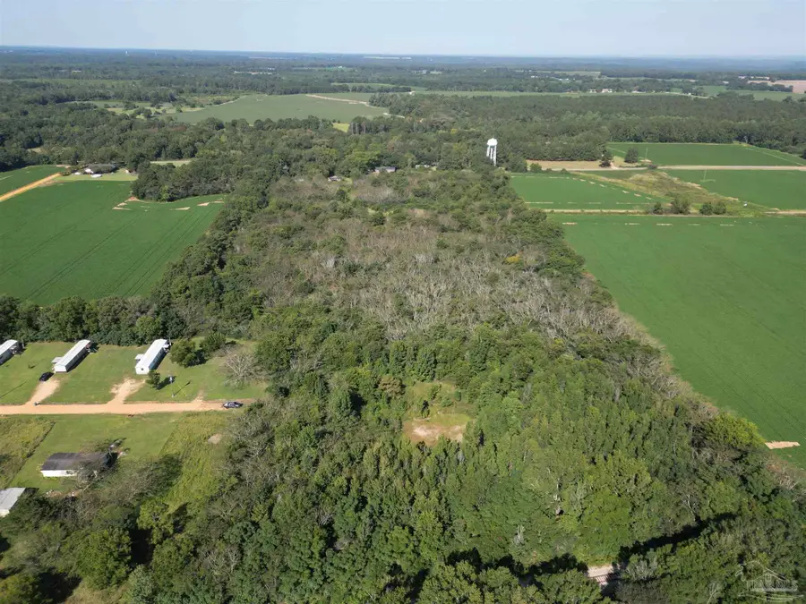 00 Wiggins Rd, Frisco City, AL 36445 - Image #3