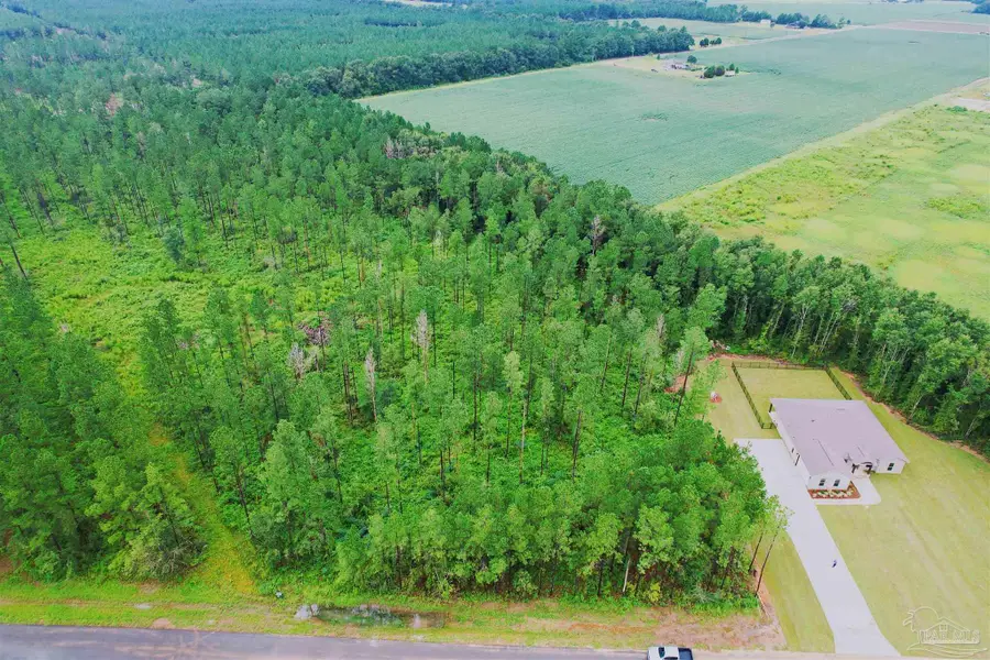 9209 Sage Forest Ln, Pace, FL 32571 - Image #3