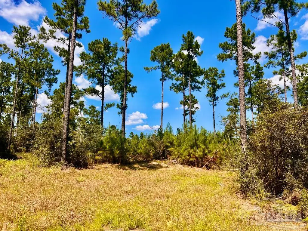 Lot 1 Morgans Branch, Molino, FL 32577 - #1