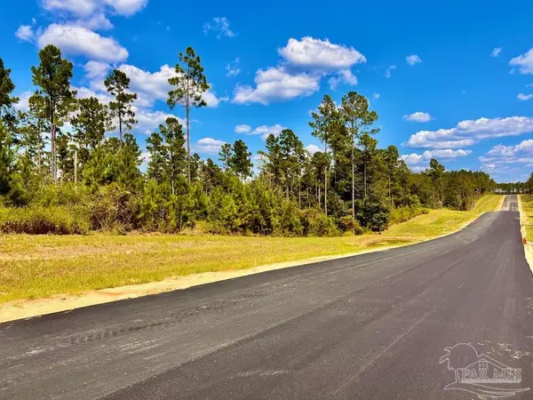 Lot 3 Morgans Branch, Molino, FL 32577