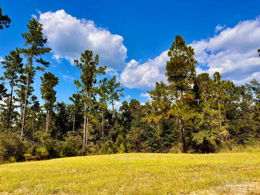 Lot 4 Morgans Branch, Molino, FL 32577 - Image #1