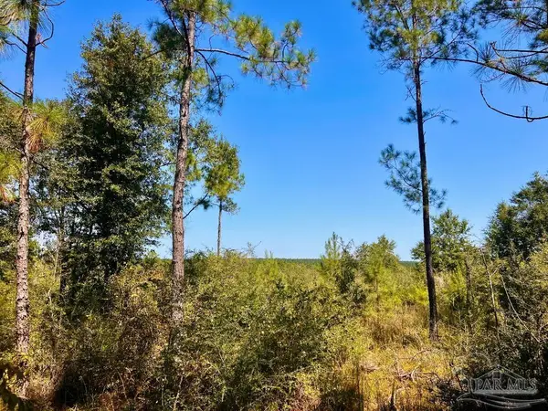 Lot 6 Sounder Dr, Molino, FL 32577