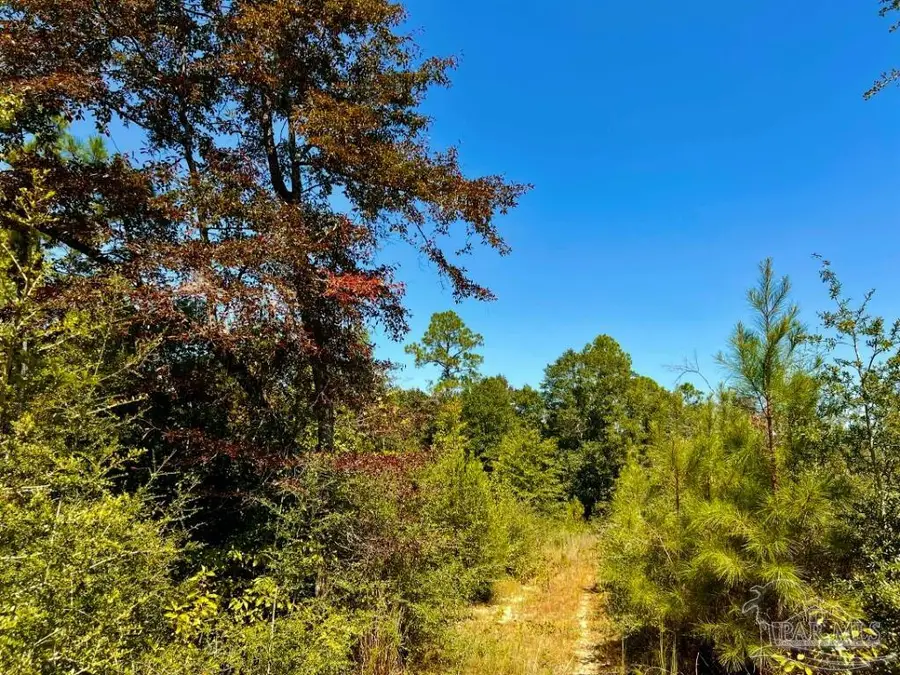 Lot 8 Sounder Dr, Molino, FL 32577 - #2