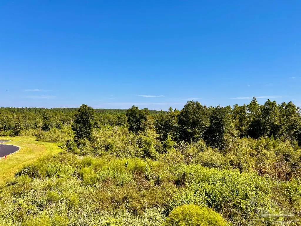 Lot 10 Sounder Dr, Molino, FL 32577 - Image #1