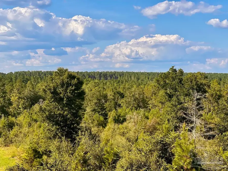 Lot 10 Sounder Dr, Molino, FL 32577 - Image #2
