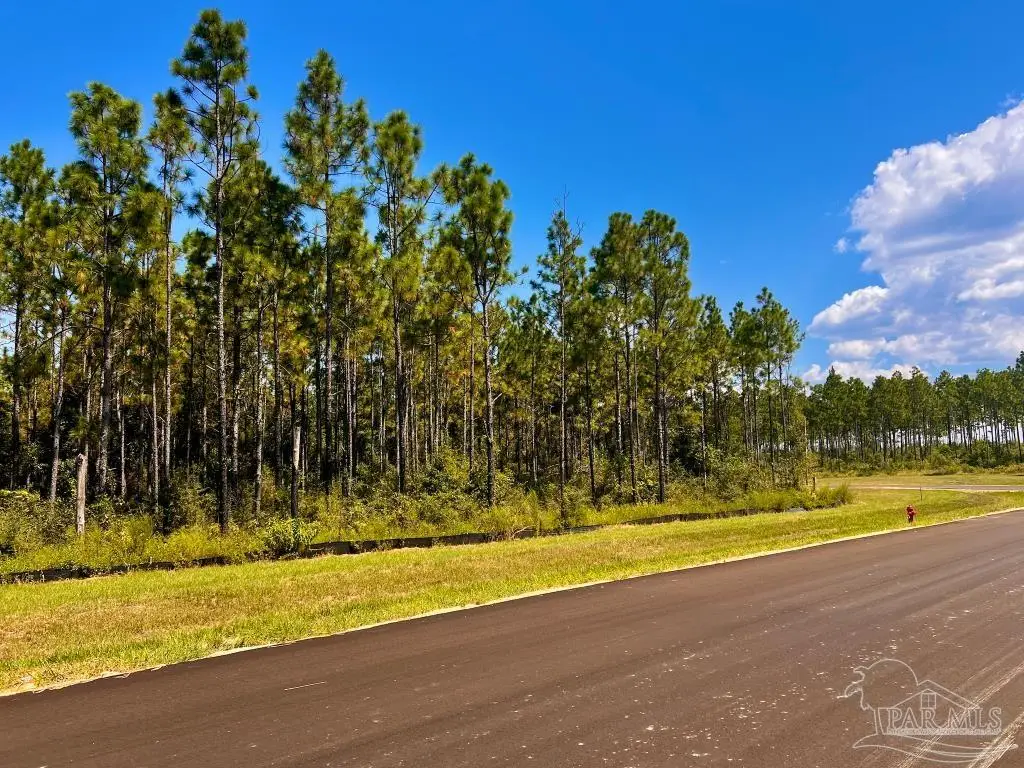 Lot 11 Morgans Branch, Molino, FL 32577 - Image #1