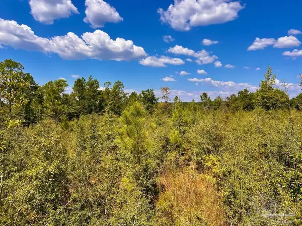 Lot 12 Morgans Branch, Molino, FL 32577