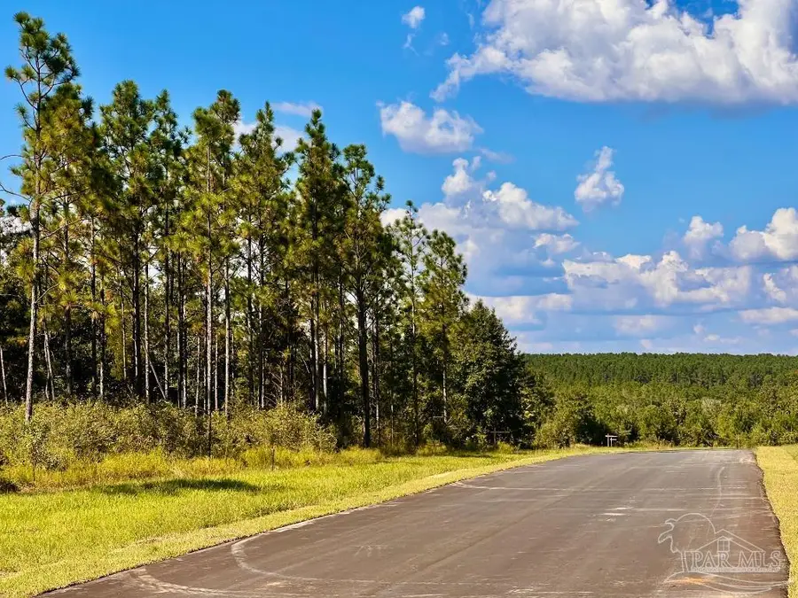 Lot 12 Morgans Branch, Molino, FL 32577 - Image #2