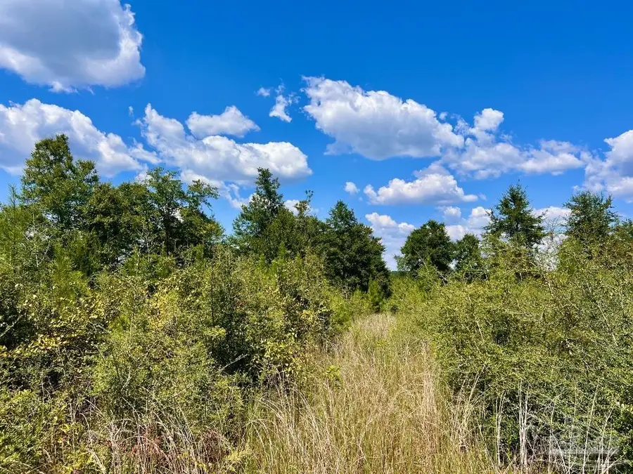 Lot 13 Morgans Branch, Molino, FL 32577 - Image #2
