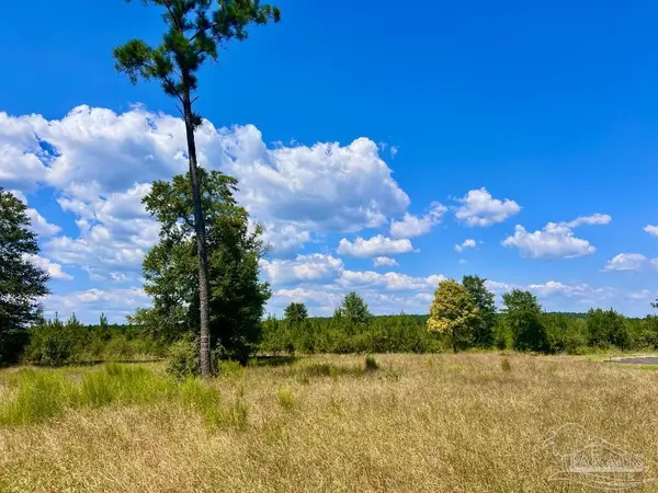 Lot 14 Morgans Branch, Molino, FL 32577